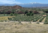 Stone house with land for sale on Camino de Cueva del Monje, Guadix, ref: TR108484 photo