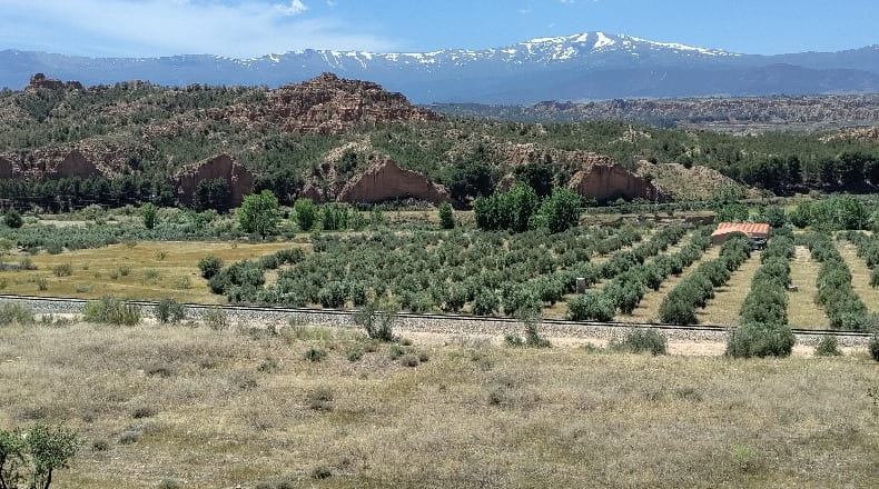 Granada - Guadix - 740000m2