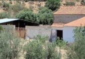 Stone house with land for sale on Camino de Cueva del Monje, Guadix, ref: TR108484 photo