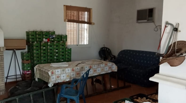 Sevilla - Aznalcóllar - 44000m2