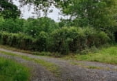 Land with storage building for sale on O Canavello, ref: TR108527 photo
