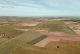 Noblejas 48633&nbsp;м²