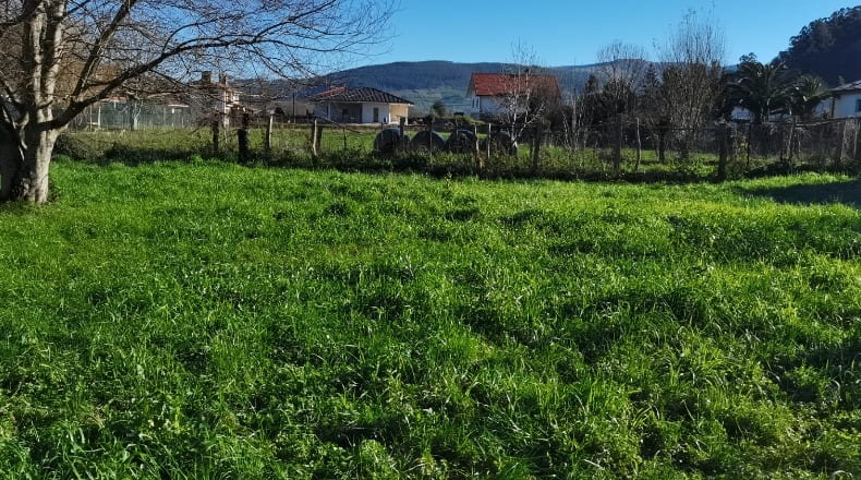 Cantabria - Santa María de Cayón - 547m2
