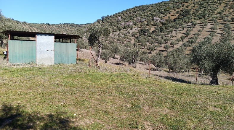Córdoba - Estación de Obejo - 80000m2