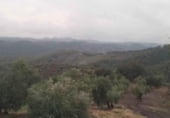 Finca rústica en venta en la N-4A, Montoro, ref: TR108711 foto