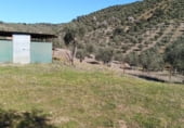 Finca rústica en venda a la A-3176, Obejo, ref.: TR108710 foto