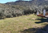 Finca rústica en venda a la A-3176, Obejo, ref.: TR108710 foto
