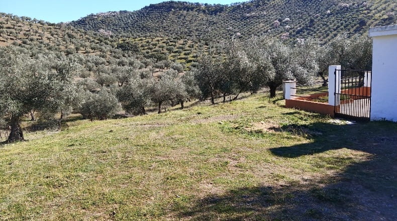Córdoba - Obejo - 80000m2