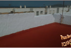 Foto 19