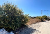 Terreno con Almacén en venta en la Diseminado Zabal Bajo, La Línea de la Concepción, ref: TR9325 foto