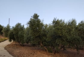 Montefrío 174000&nbsp;м²