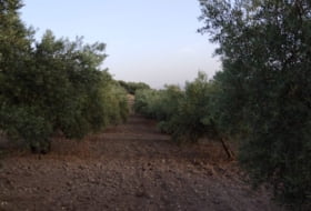 Montefrío 174000&nbsp;м²