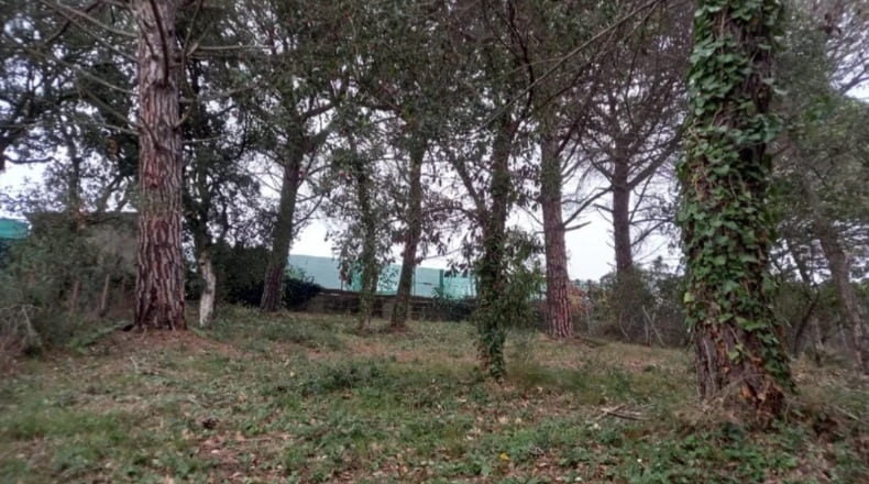 Girona - Maçanet de la Selva - 850m2