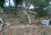 Земля, подлежащая урбанизации на продажу у города Maçanet de la Selva Фото