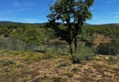 Sòl urbà en venda a la Calle Nieves, Villavieja del Lozoya, ref.: TR108530 foto