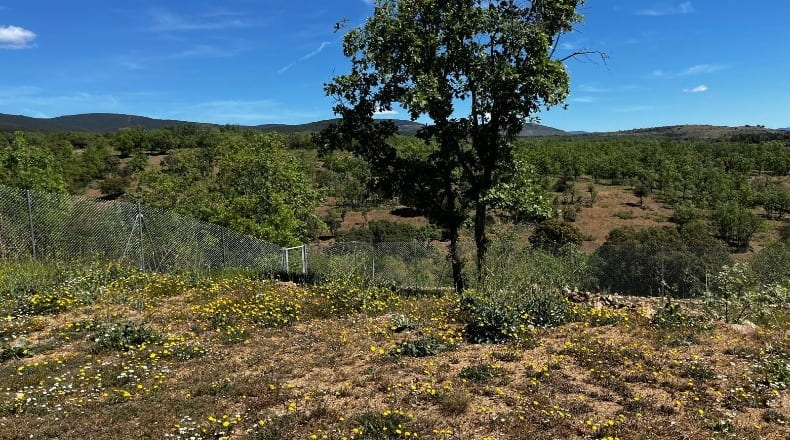 Comunidad de Madrid - Villavieja del Lozoya - 1200m2