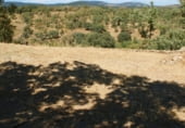 Sòl urbà en venda a la Calle Nieves, Villavieja del Lozoya, ref.: TR108530 foto