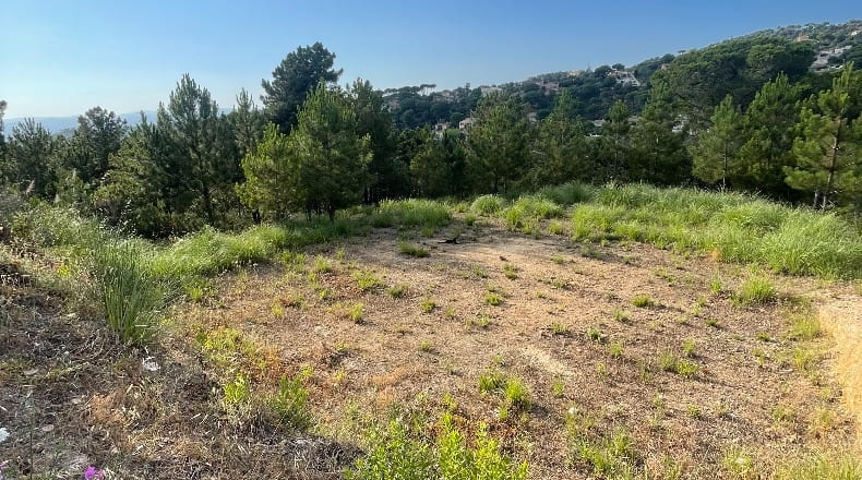 Gerona - Lloret de Mar - 850m2
