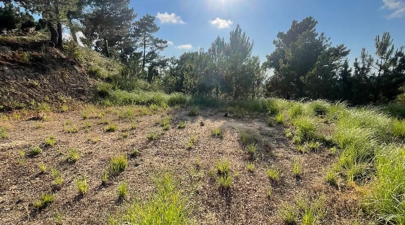 Gerona - Lloret de Mar - 850m2