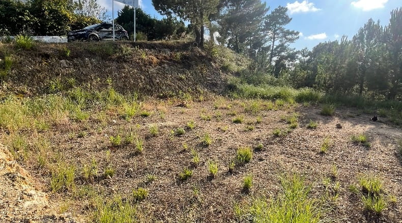 Gerona - Lloret de Mar - 850m2