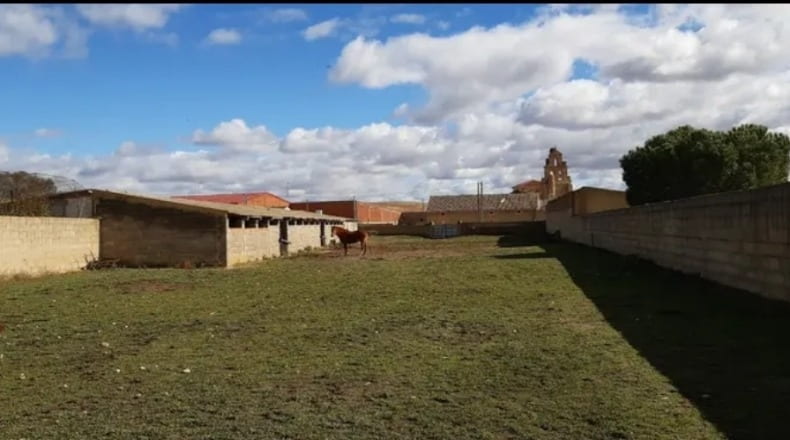 Zamora - Cañizo - 3000m2