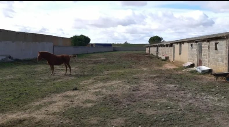 Zamora - Cañizo - 3000m2