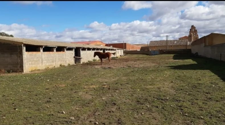 Zamora - Cañizo - 3000m2