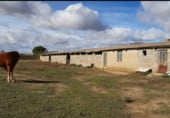 Terreno en venta en la Calle Cascajera, Cañizo, ref: TR108884 foto