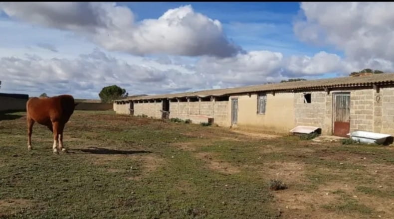 Zamora - Cañizo - 3000m2