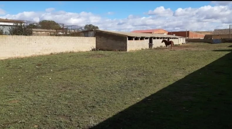 Zamora - Cañizo - 3000m2
