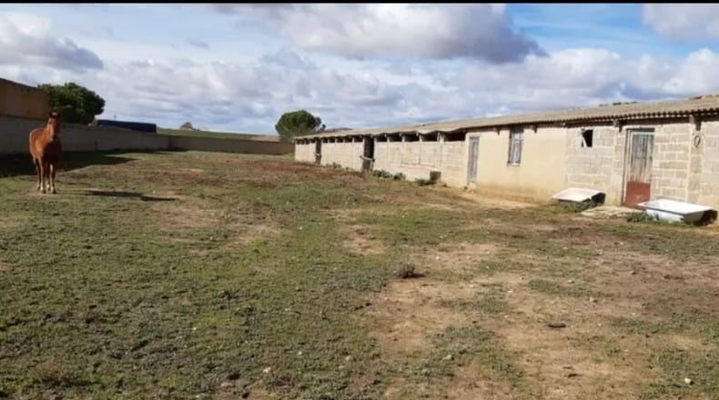 Zamora - Cañizo - 3000m2