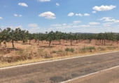 Finca rústica en venda a la Carretera Torralba, Pozuelo de Calatrava, ref.: TR108916 foto
