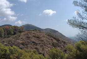 Pego 3696&nbsp;m² 
