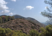 Parcel·la urbanitzable en venda a la Camí del Carritxar, Pego, ref.: TR108936 foto