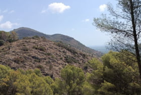 Pego 3696&nbsp;m² 