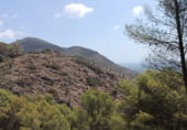 Parcel·la urbanitzable en venda a la Camí del Carritxar, Pego, ref.: TR108936 foto