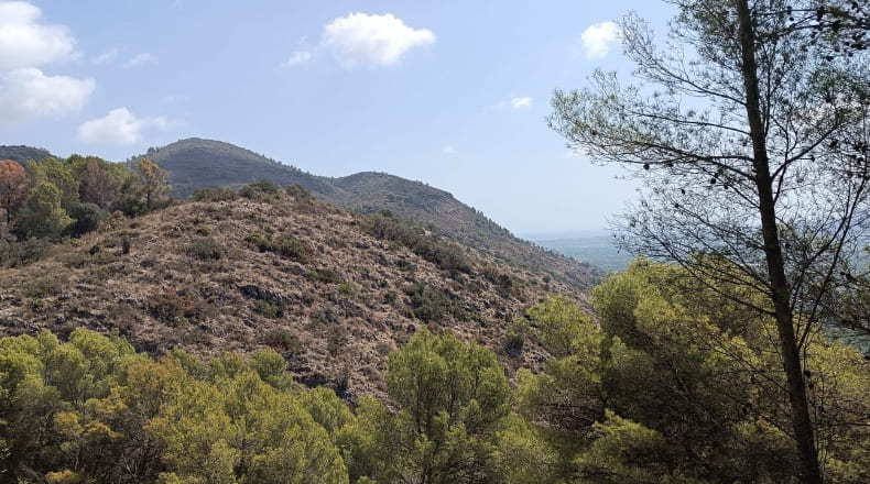 Alicante - Pego - 3696m2