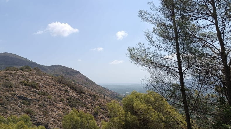 Alicante - Pego - 3696m2