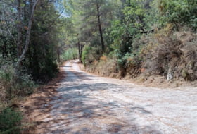 Pego 3696&nbsp;m² 