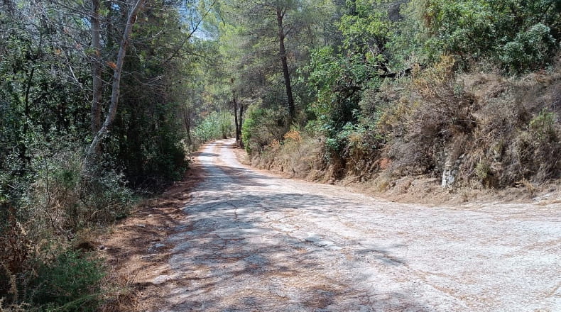 Alicante - Pego - 3696m2