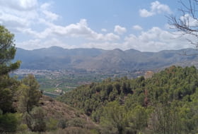 Pego 3696&nbsp;m² 