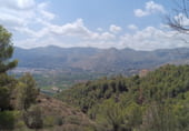 Parcel·la urbanitzable en venda a la Camí del Carritxar, Pego, ref.: TR108936 foto