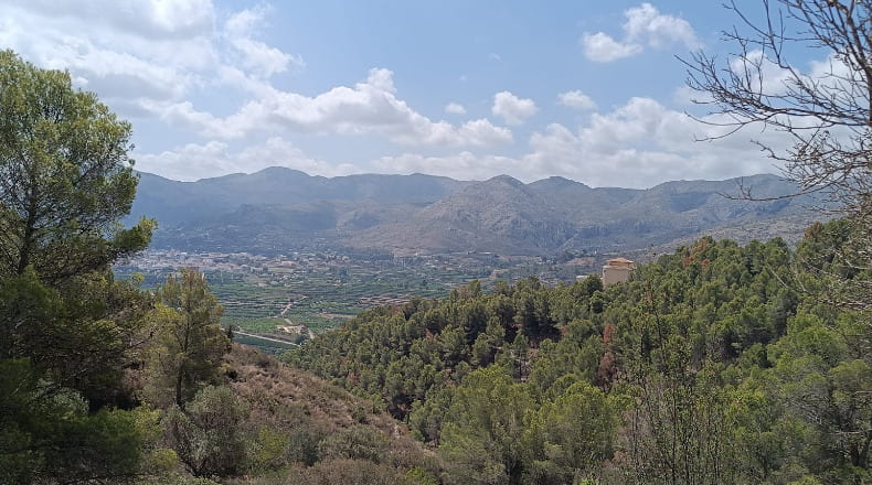 Alicante - Pego - 3696m2