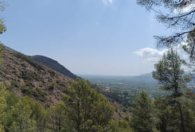 Pego 3696&nbsp;m² 