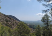 Parcel·la urbanitzable en venda a la Camí del Carritxar, Pego, ref.: TR108936 foto