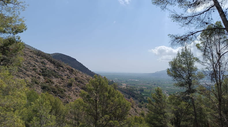 Alicante - Pego - 3696m2