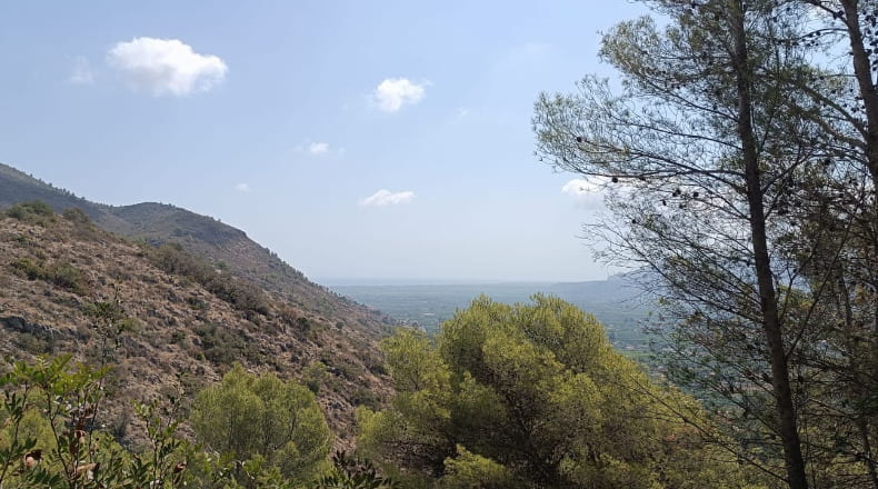 Alicante - Pego - 3696m2
