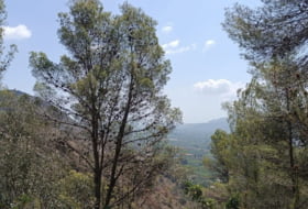 Pego 3696&nbsp;m² 