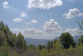 Pego 3696&nbsp;m² 