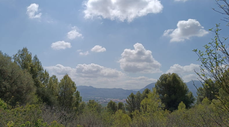 Alicante - Pego - 3696m2